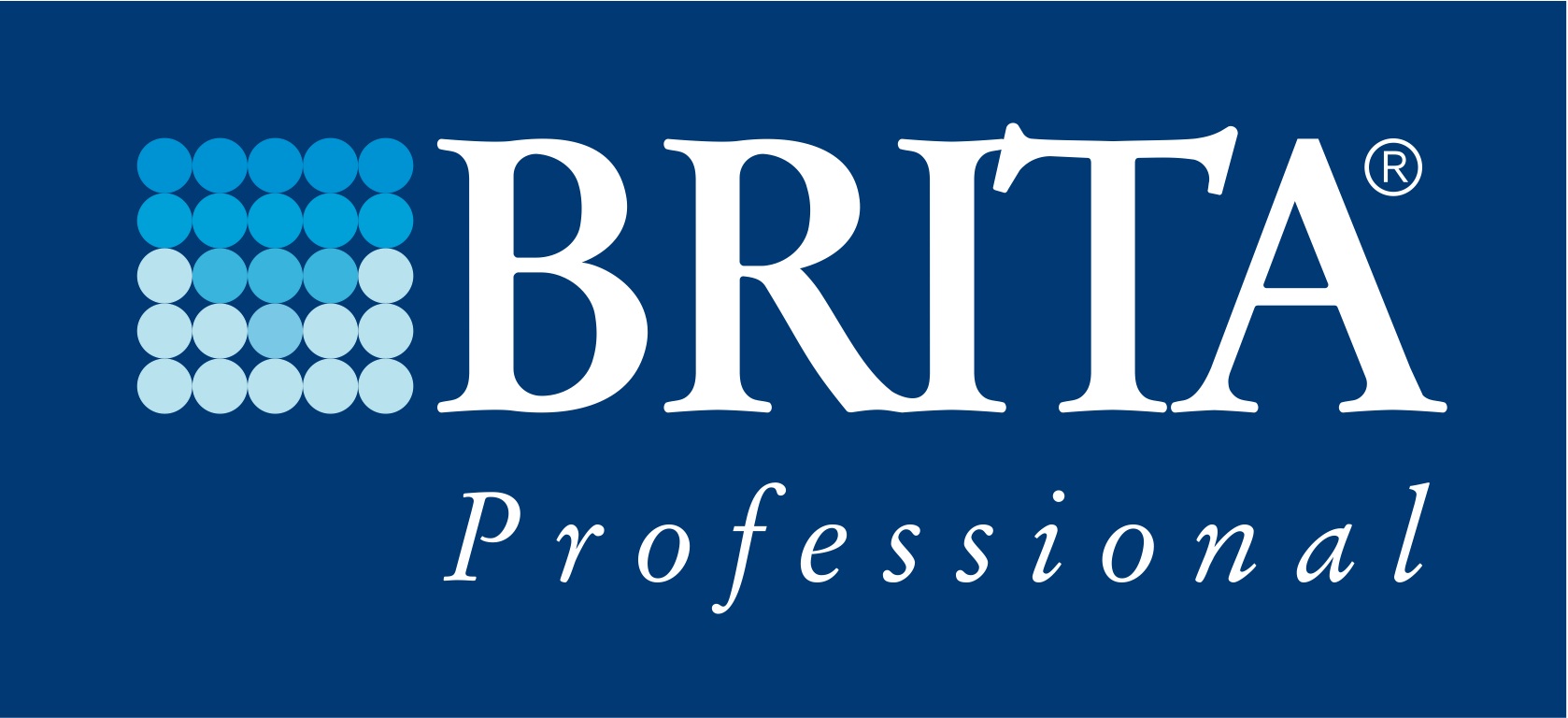 BRITA Rectangular logo1