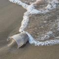 Inquinamento da plastica: una bottiglia naviga per quasi 50 anni intatta in mare